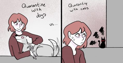 Quarantine with Pets